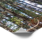 美しい松 ポスター (角)