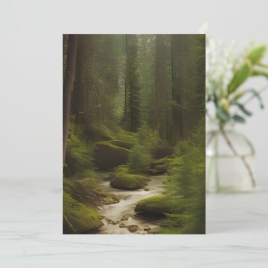 美しい林流 カード (スタンド正面)