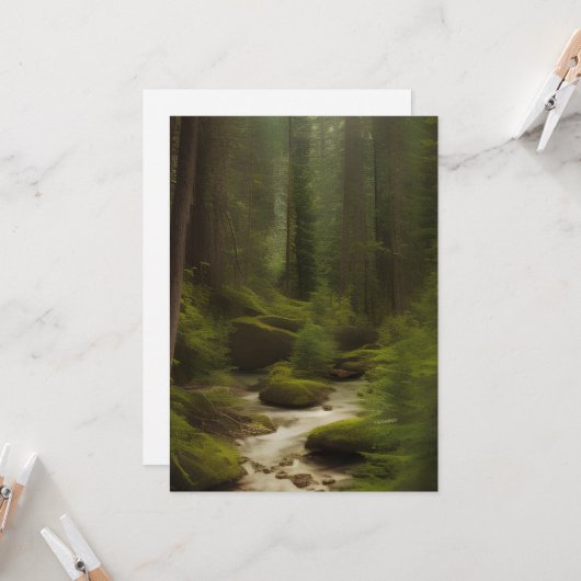 美しい林流 カード (正面/裏面インサイチュ)