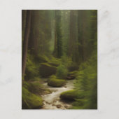 美しい林流 ポストカード (正面)