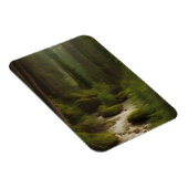 美しい林流 マグネット (右側)