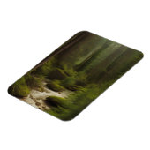 美しい林流 マグネット (左側)