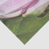 美しい柔らかいピンクのスイレン 薄葉紙 (詳細)