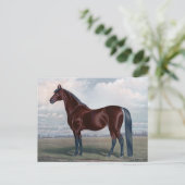 美しい栗の馬ファインアート ポストカード (スタンド正面)