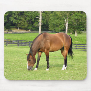 美しい栗毛の馬 マウスパッド