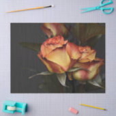 美しい桃と錆の色のペダルのバラ 薄葉紙 (クラフト)