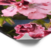 美しい桃ペラルゴニウム花園ポスター ポスター (角)