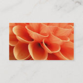 美しい桃色のダリアフラワー花びら 名刺 (裏面)
