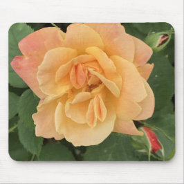 美しい桃色のバラマウスパッド マウスパッド