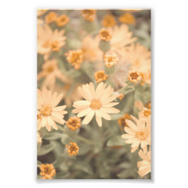 美しい桃色の花のフローラ フォトプリント           