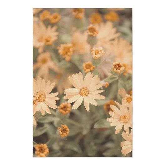 美しい桃色の花のフローラ ポスター (正面)