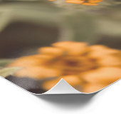 美しい桃色の花のフローラ ポスター (コーナー)