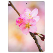 美しい桜さくらんぼ花 クリップボード (裏面)