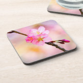 美しい桜さくらんぼ花 コースター (左側)