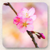 美しい桜さくらんぼ花 コースター (正面)