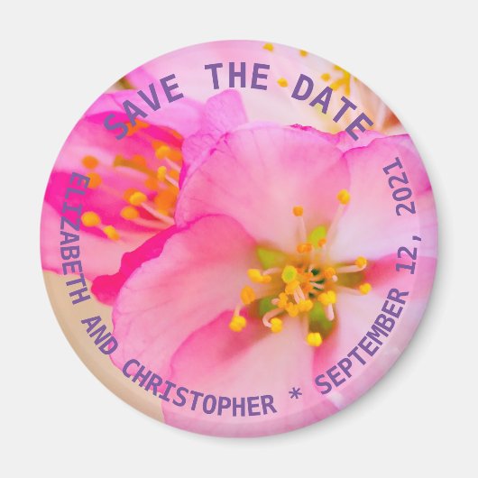 美しい桜さくらんぼ花 マグネット (正面)