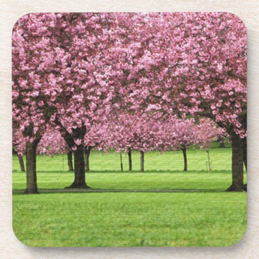 美しい桜の花柄 コースター (正面)