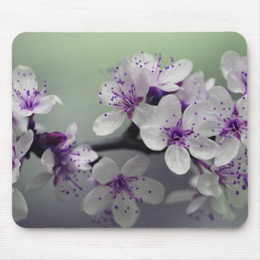 美しい桜 マウスパッド (正面)