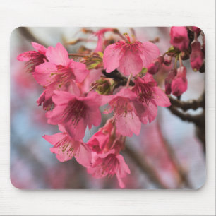美しい桜 マウスパッド