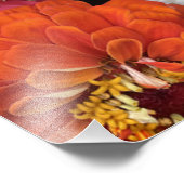 美しい梅 フォトプリント            (角)