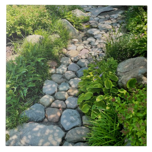 美しい森の写真の日照り木写真テンプレート タイル (正面)