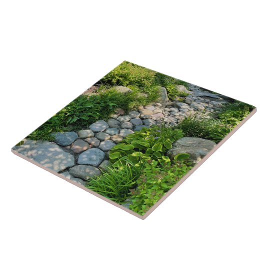 美しい森の写真の日照り木写真テンプレート タイル (側面)