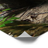 美しい森 ポスター (角)