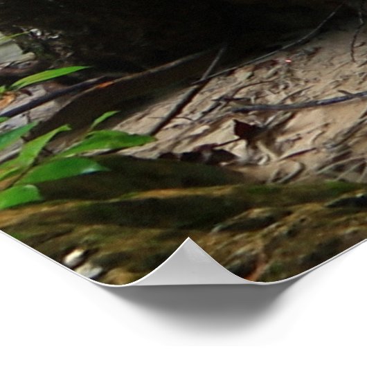 美しい森 ポスター (角)