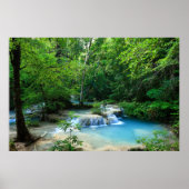 美しい森 ポスター (正面)