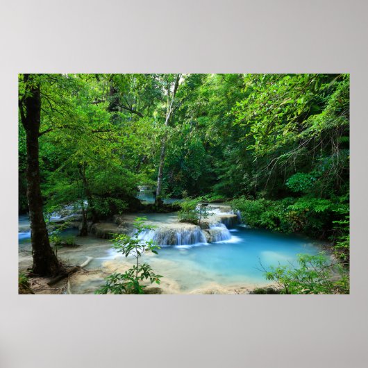 美しい森 ポスター (正面)