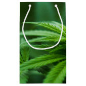 美しい植物 スモールペーパーバッグ (裏面)