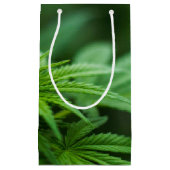 美しい植物 スモールペーパーバッグ (正面)