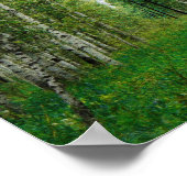 美しい樺の木ツリーフォレスト ポスター (角)