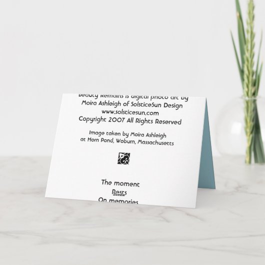 美しい残 カード (裏面)