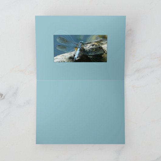 美しい残 カード (内部)