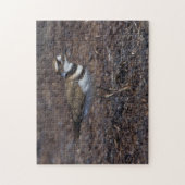 美しい殺人鬼のビーチ ジグソーパズル (縦)