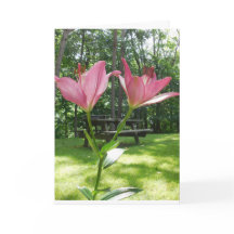 美しい母の日のカード。