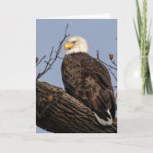 美しい母（ワシ） カード (正面)