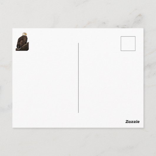 美しい母（ワシ） ポストカード (裏面)