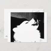 美しい毛皮で覆われたSamoyedの白犬 ポストカード (正面/裏面)