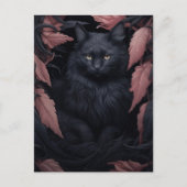 美しい毛皮の黒猫 ポストカード (正面)