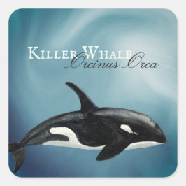 美しい水の色のキラーホエールオルシーナス・オルカ スクエアシール