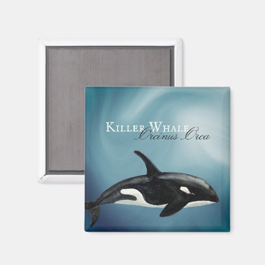美しい水の色のキラーホエールオルシーナス・オルカ マグネット (正面/裏面)