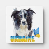 美しい水の色ウクライナ犬と蝶 フォトプラーク (正面)