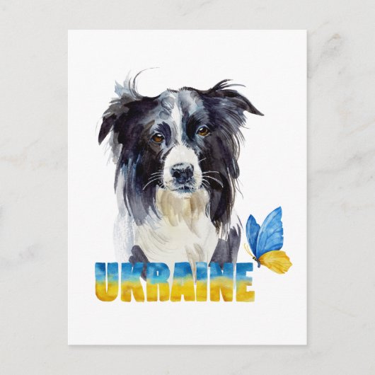 美しい水の色ウクライナ犬と蝶 ポストカード (正面)
