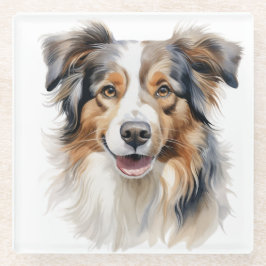 美しい水の色オーストラリアのシェプドッグ顔 ガラスコースター