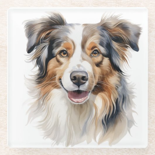 美しい水の色オーストラリアのシェプドッグ顔 ガラスコースター (正面)