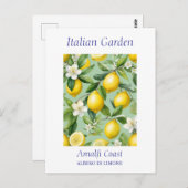 美しい水の色レモンツリー ポストカード (正面/裏面)