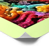 美しい水中タコの芸術 ポスター (角)