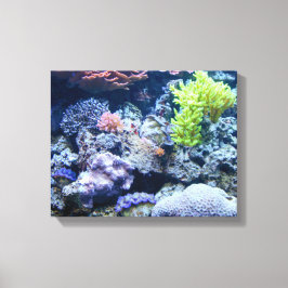 美しい水中海シーン，カラフル海 キャンバスプリント